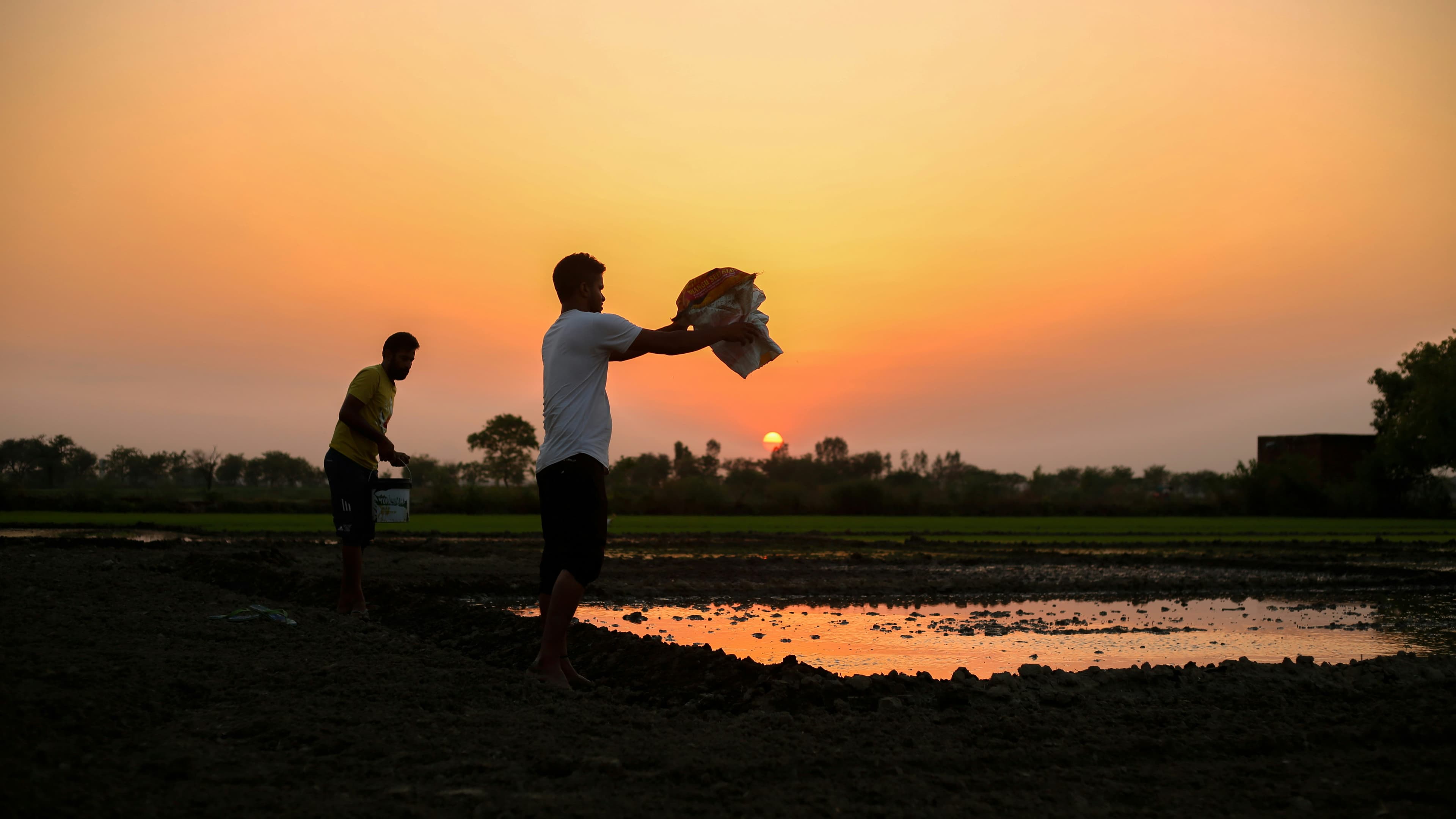 Farmer Partnerships