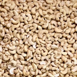 Cashew
