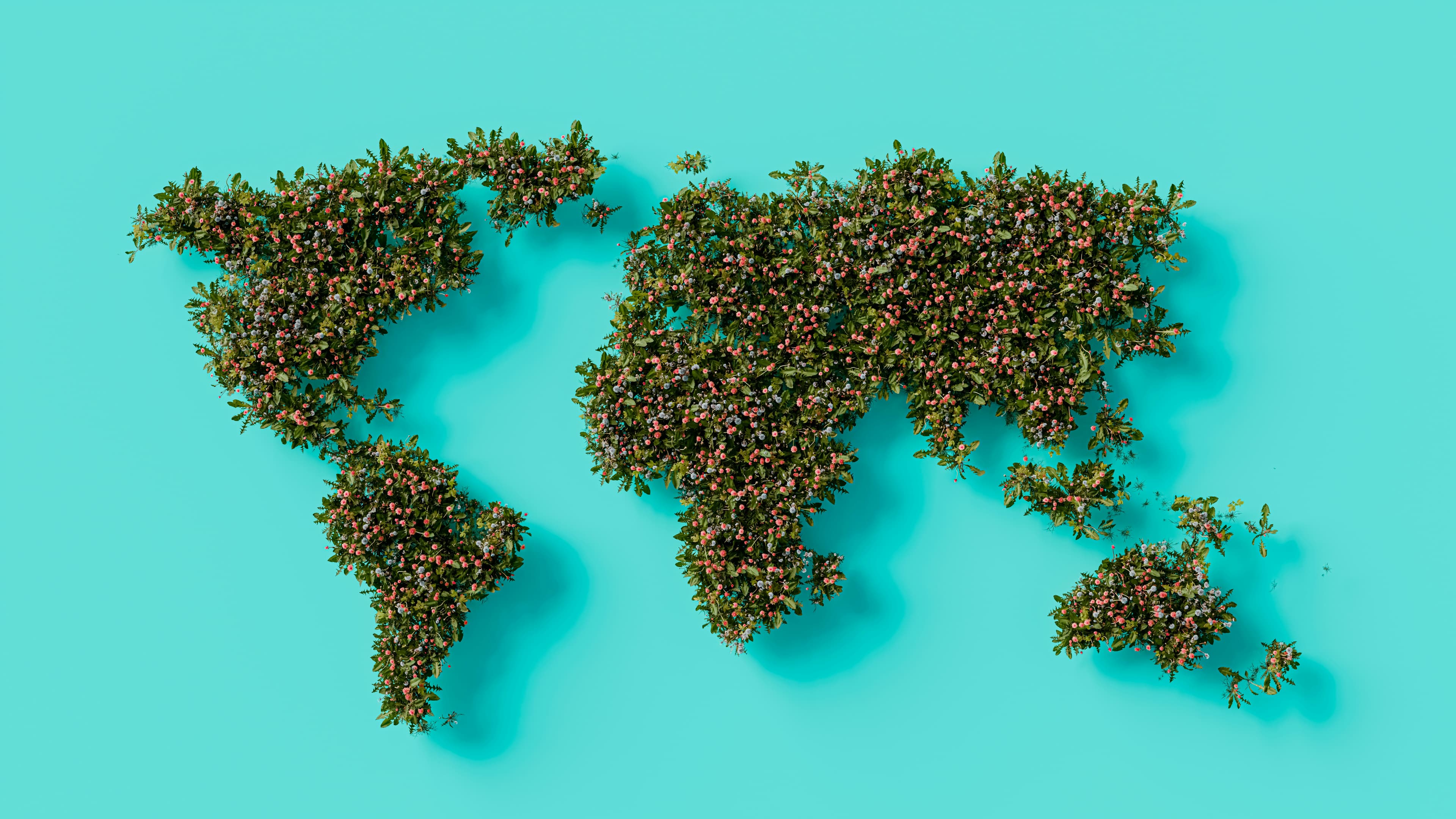 Global Sourcing