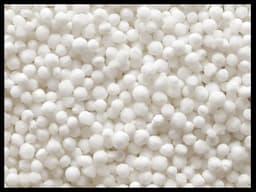 Sabudana