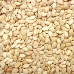 Watermelon Seeds